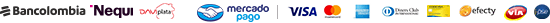 Payment Icons